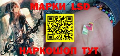 прущие грибы Ирбит
