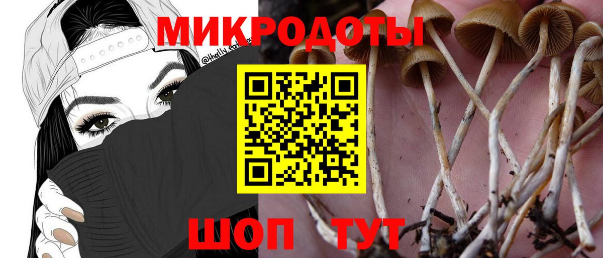 Галлюциногенные грибы ЛСД Канск