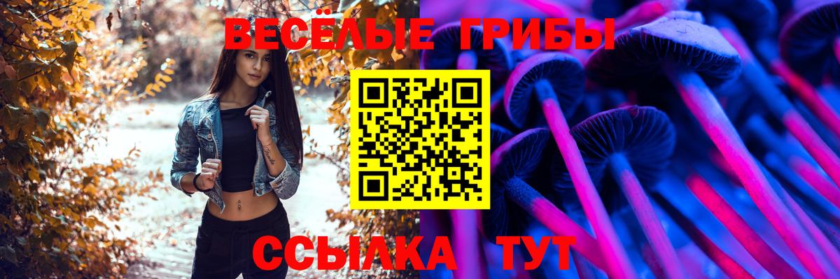 Псилоцибиновые грибы MAGIC MUSHROOMS  Вход с VPN  сколько стоит  Канск 